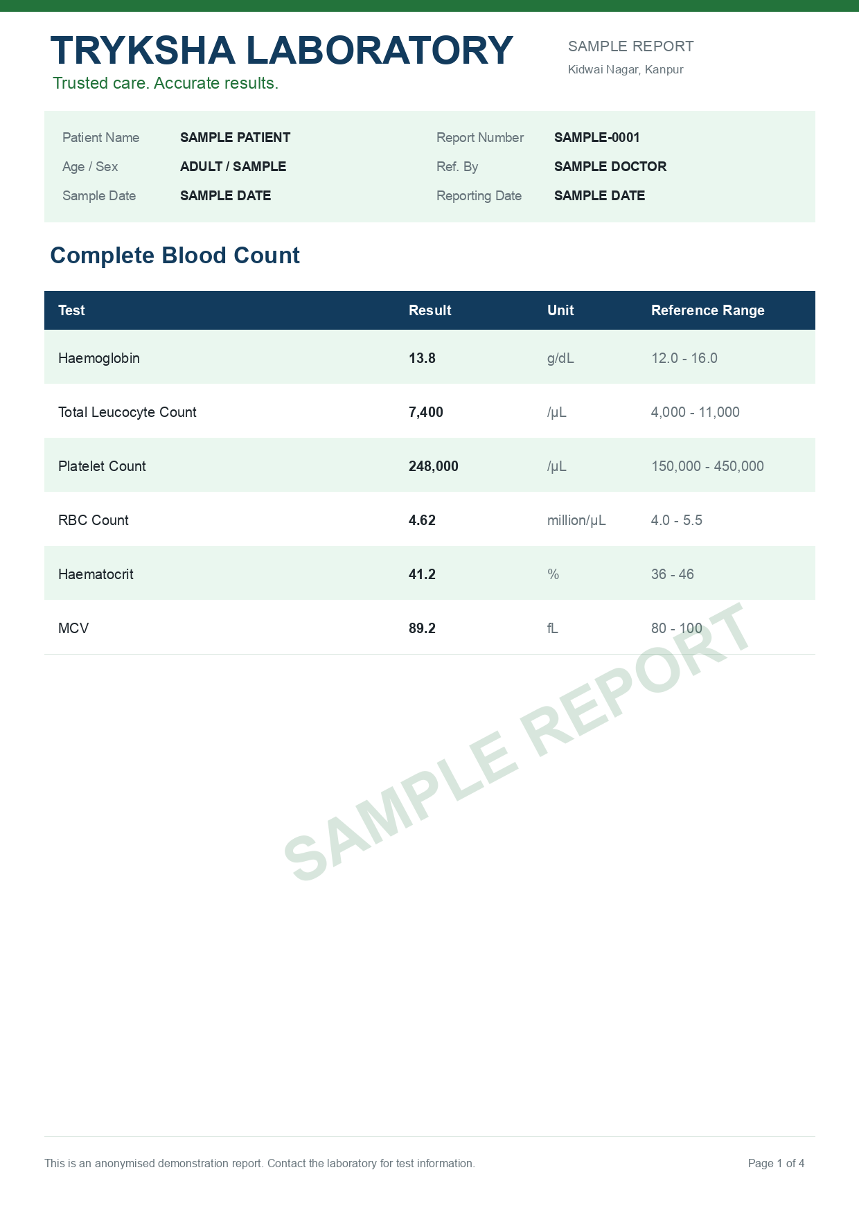 Anonymised sample report page 1