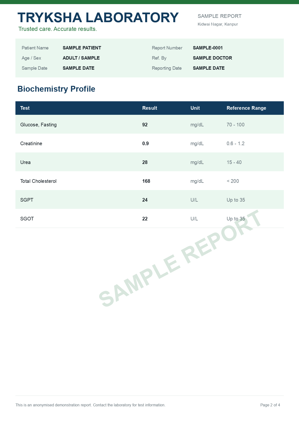 Anonymised sample report page 2